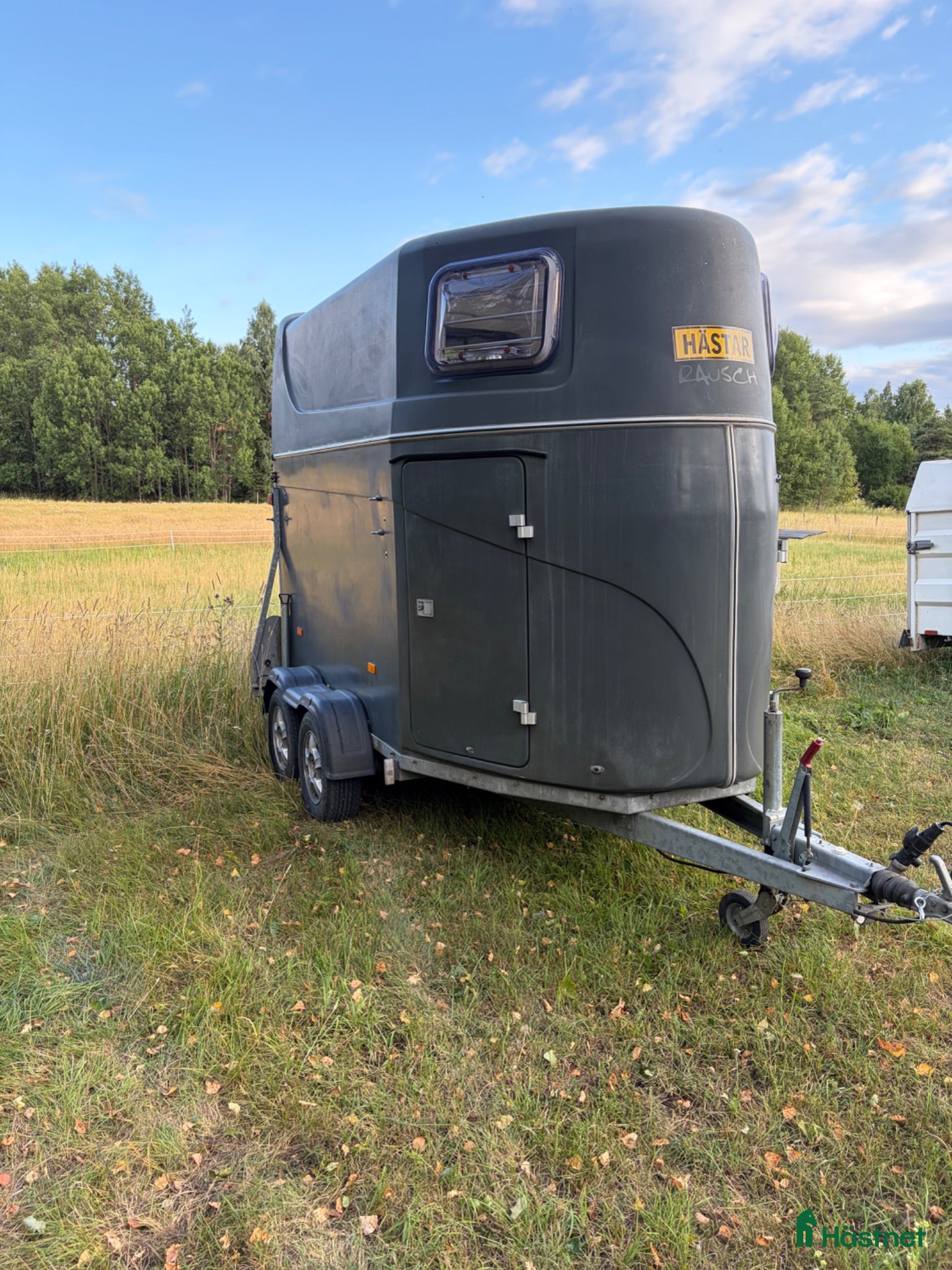 Hästtransporter  fordon & transport till salu: Rausch Elite XL - Annons 2