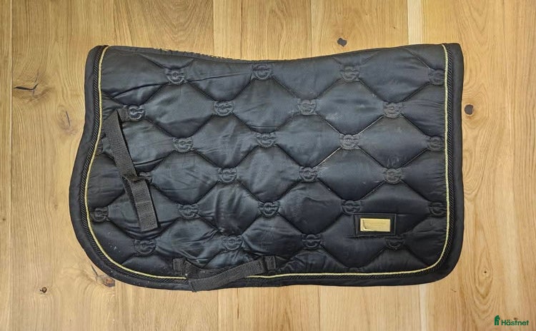 Schabrak & Vojlockar hästutrustning till salu i Bandhagen - Annons 11