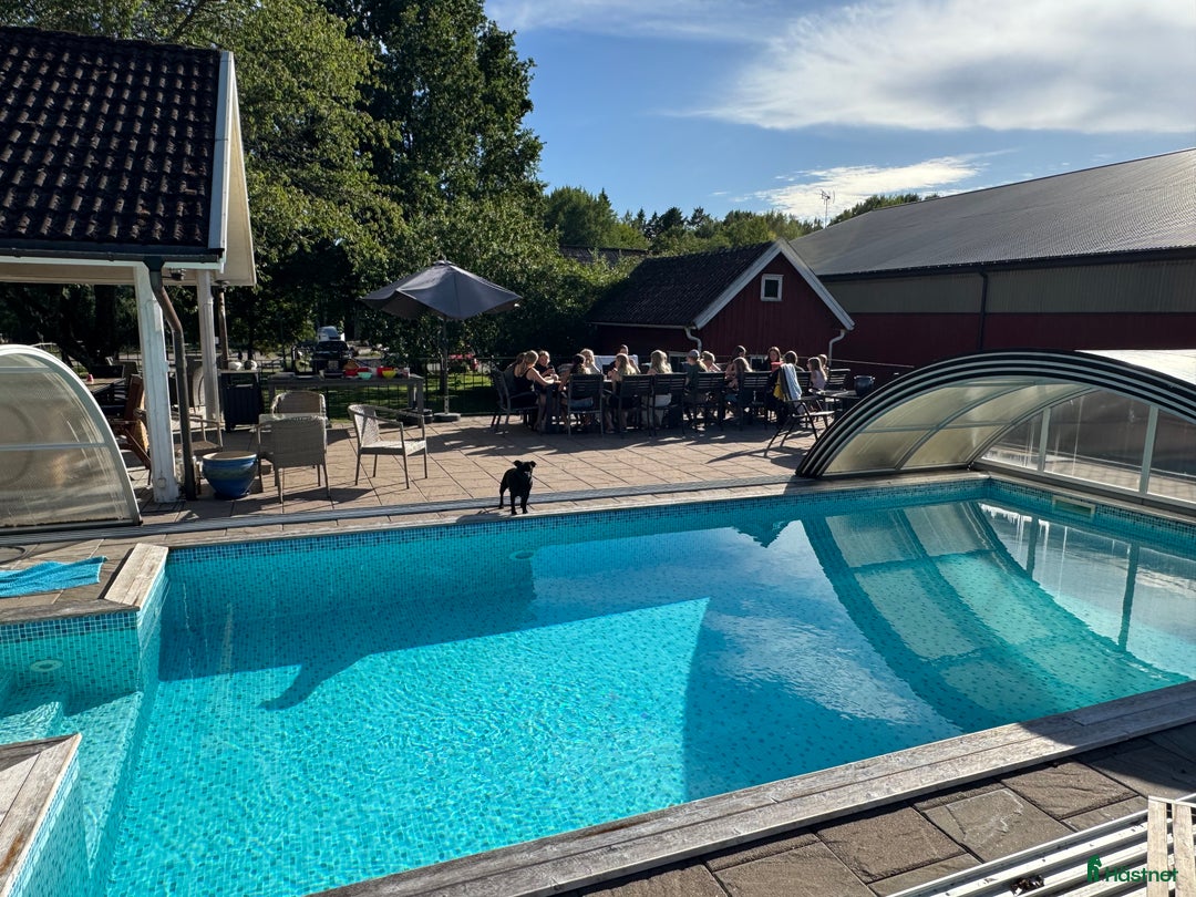  hästservice finnes: Julklappstips! Ridläger sommaren 2026 i Lidköping - Annons 38