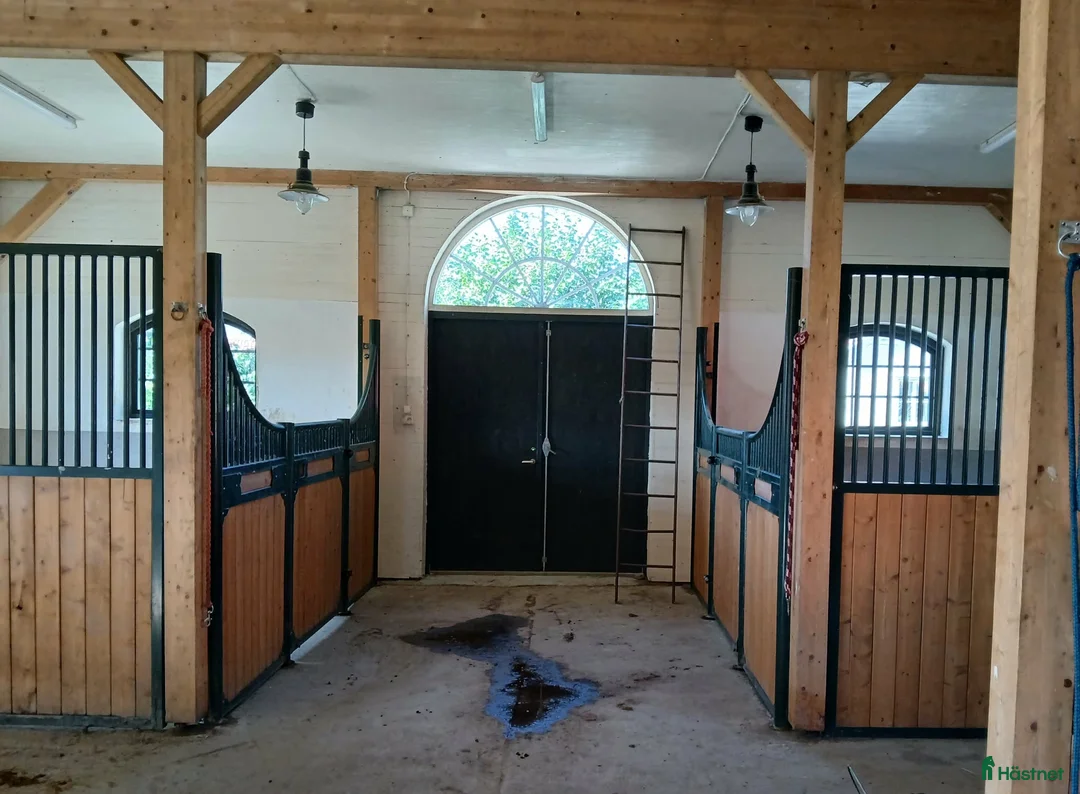  stallplats finnes:  Semester-inackordering för häst & ponny i Enköping - Annons 1