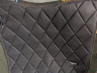 Schabrak & Vojlockar hästutrustning till salu: Brunt Back on track i Helsingborg - Annons 2