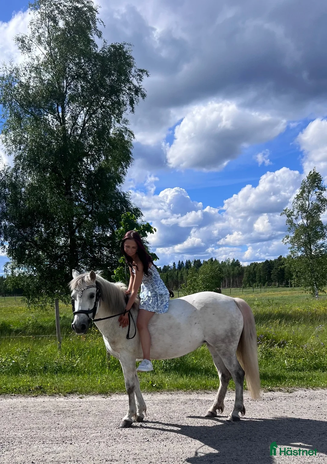 Allround hästar till salu: Ponny med stort ❤️  - Annons 1