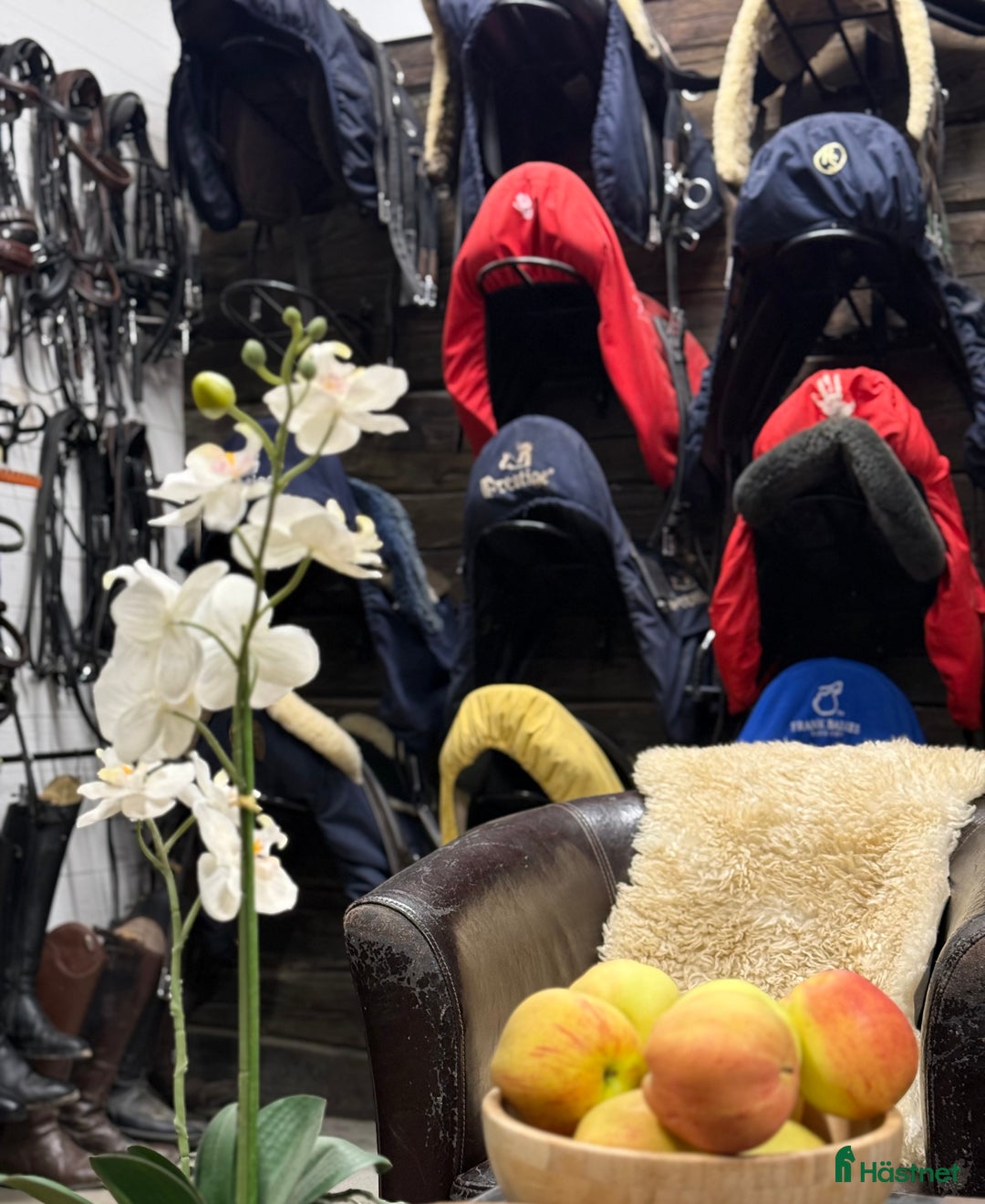  stallplats finnes: Fullservice alla dagar året om i Märsta - Annons 3