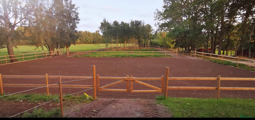  stallplats finnes: Plats på lösdrift för Islandshäst i Töreboda - Annons 2