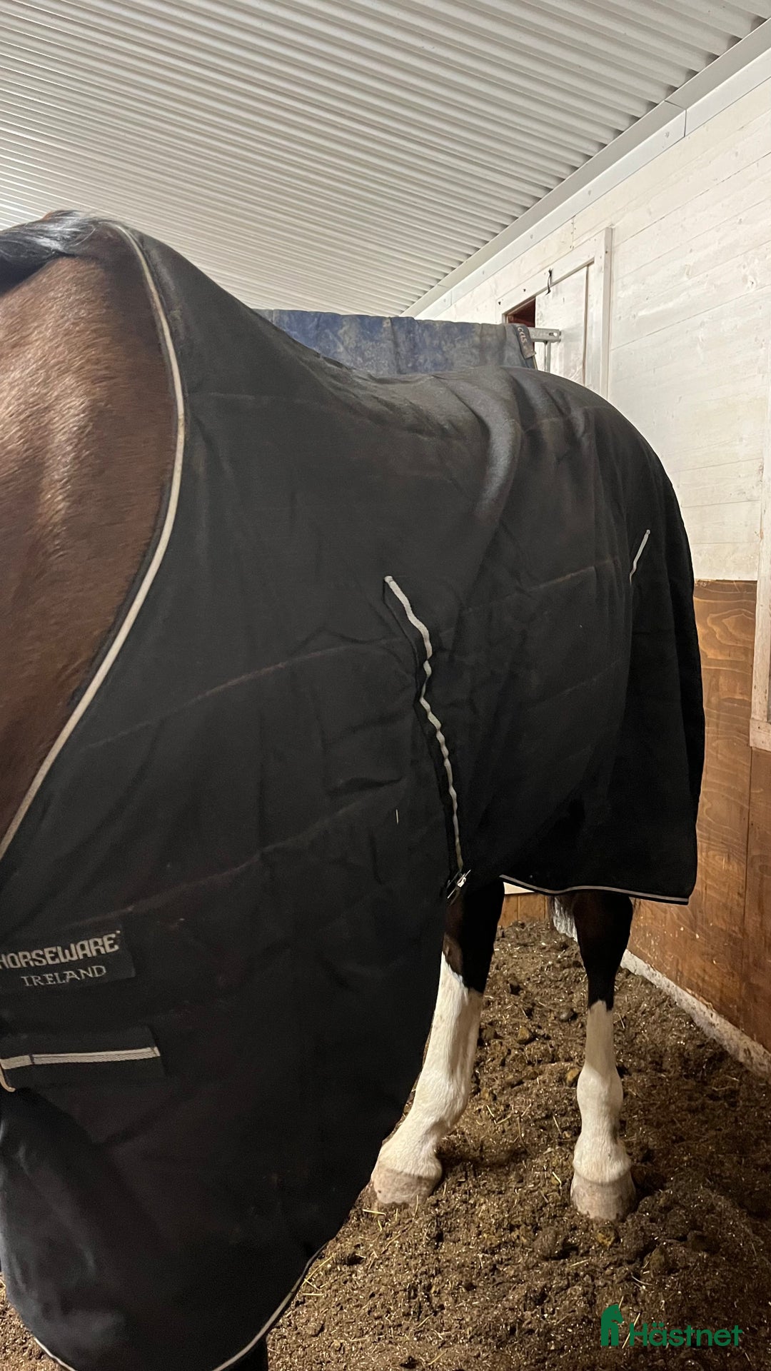 Täcken hästutrustning till salu: Rambo stalltäcke 100g i Tierp - Annons 2