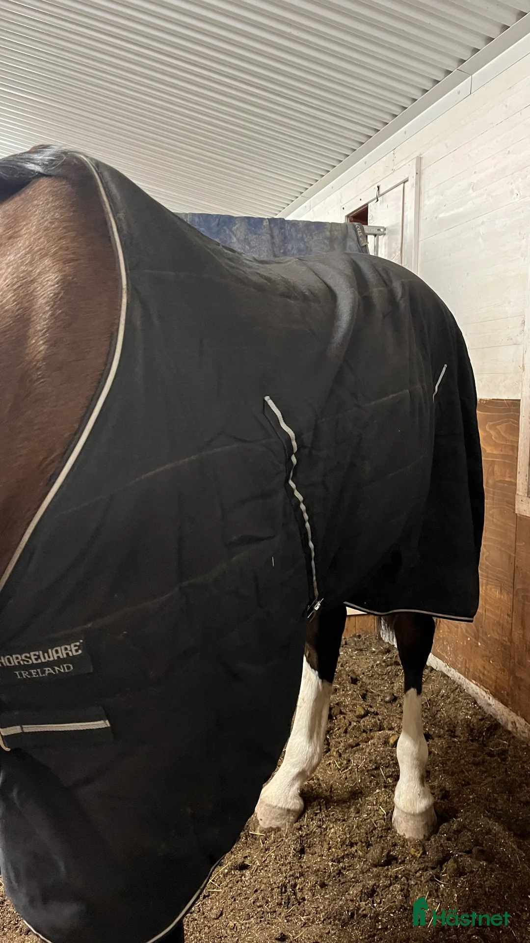 Täcken hästutrustning till salu: Rambo stalltäcke 100g i Tierp - Annons 2