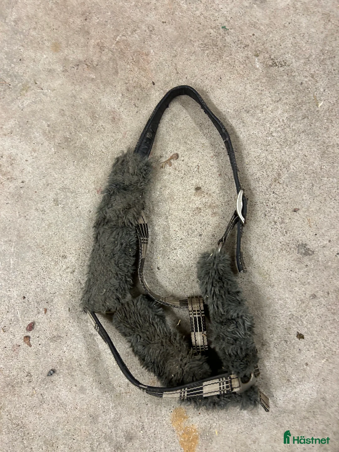 Övrig Hästutrustning hästutrustning till salu: Blandad utrustning? i Gävle - Annons 21