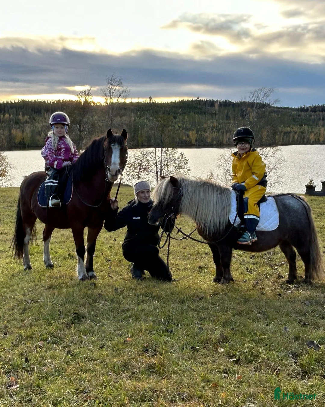 Galleribild {{count}}