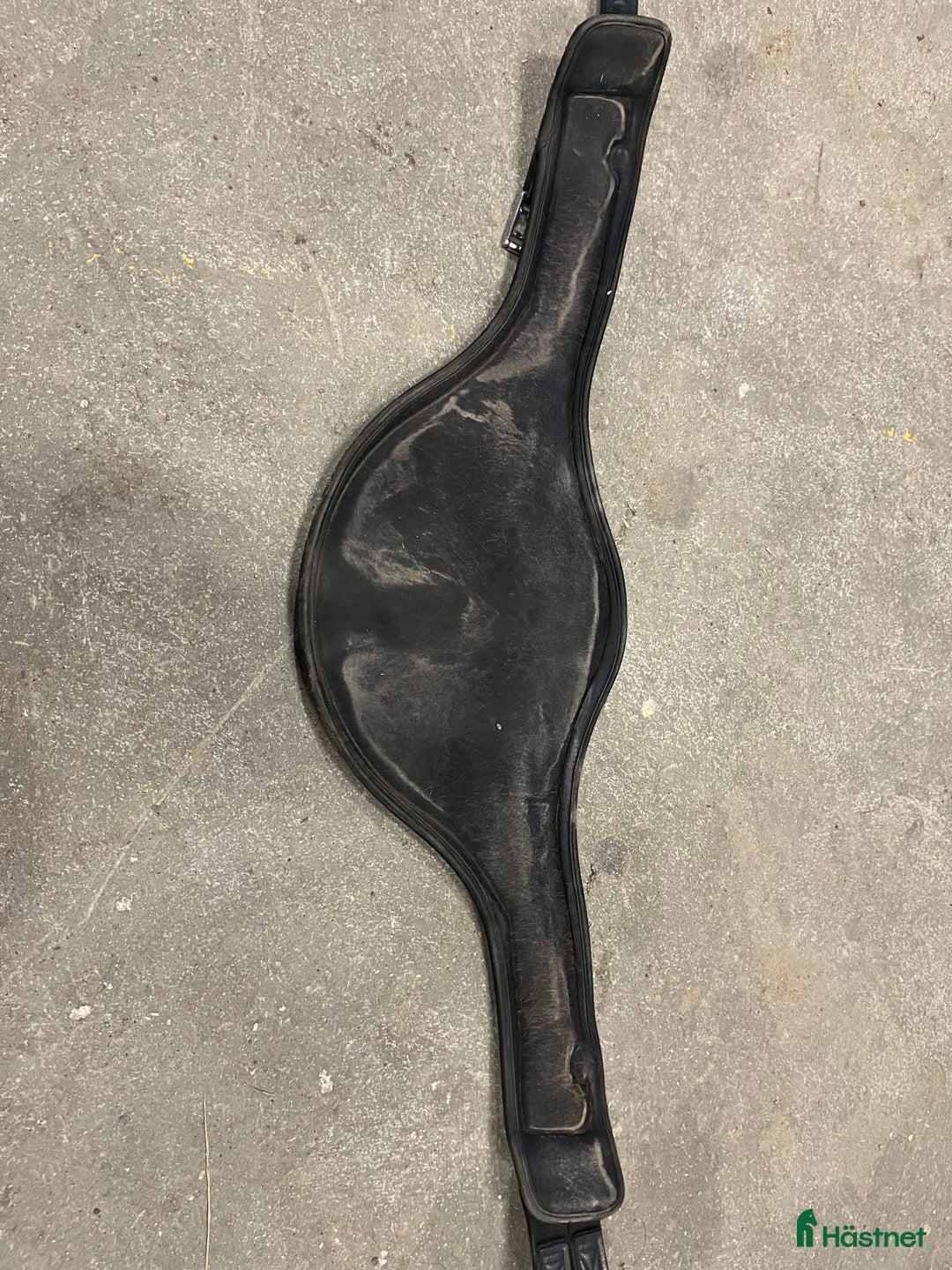 Övrig Hästutrustning hästutrustning till salu: Hästgrejer  i Umeå - Annons 11