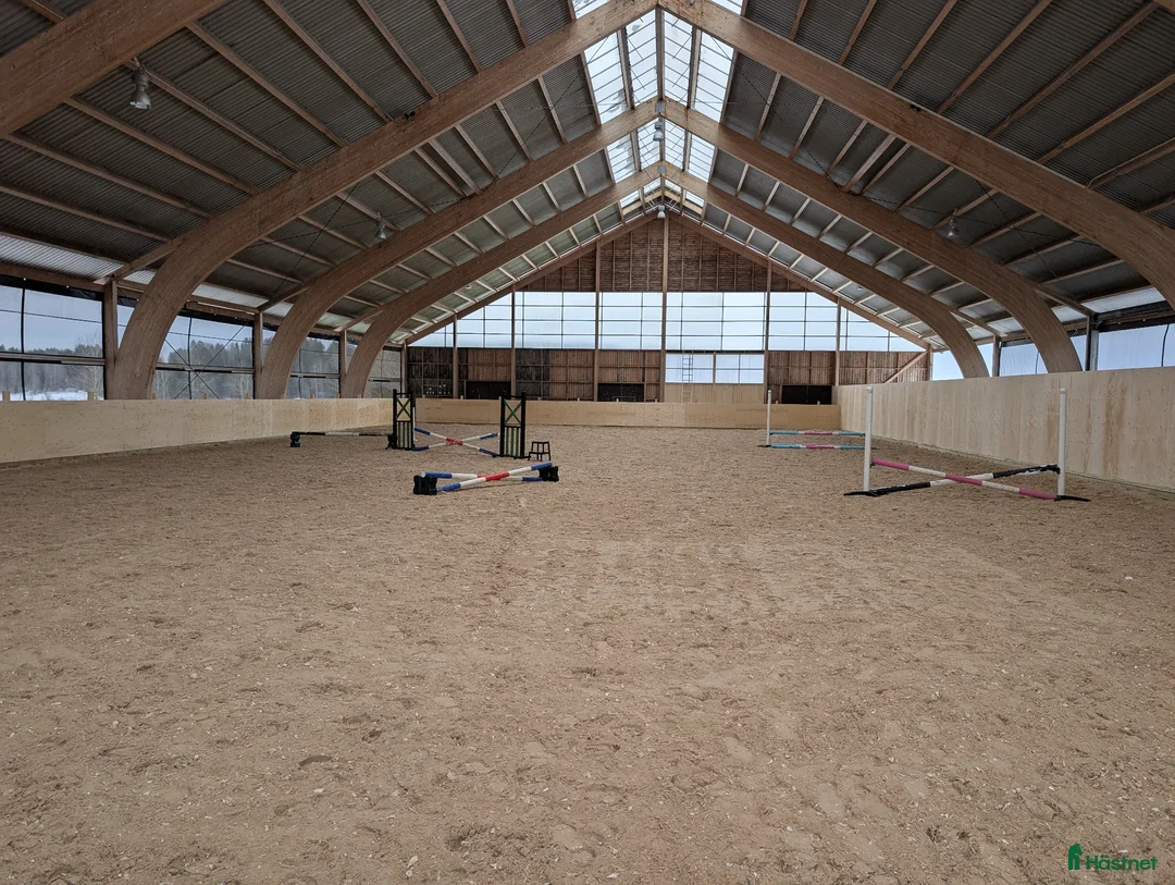  stallplats finnes: Ledig plats på lösdrift med fullservice - Annons 1