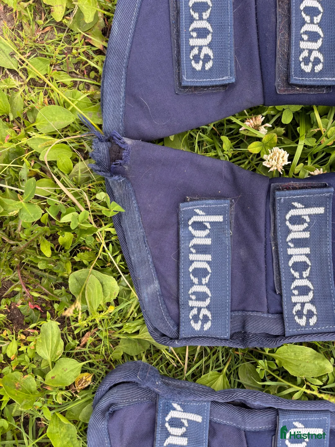 Benskydd hästutrustning till salu: Bucas Transportskydd - Annons 4