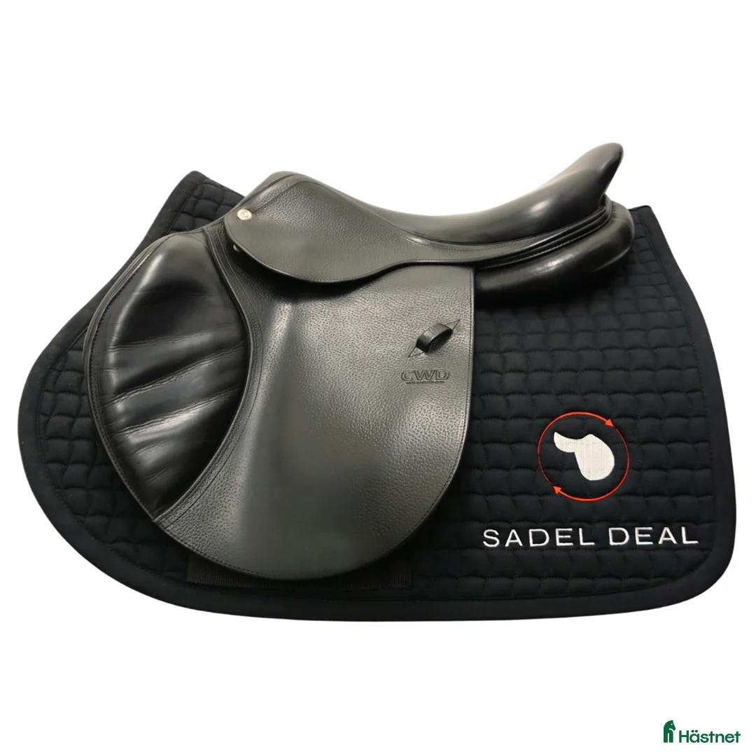 Sadlar hästutrustning till salu: CWD SE02 17,5" 3C i Upplands Väsby - Annons 1