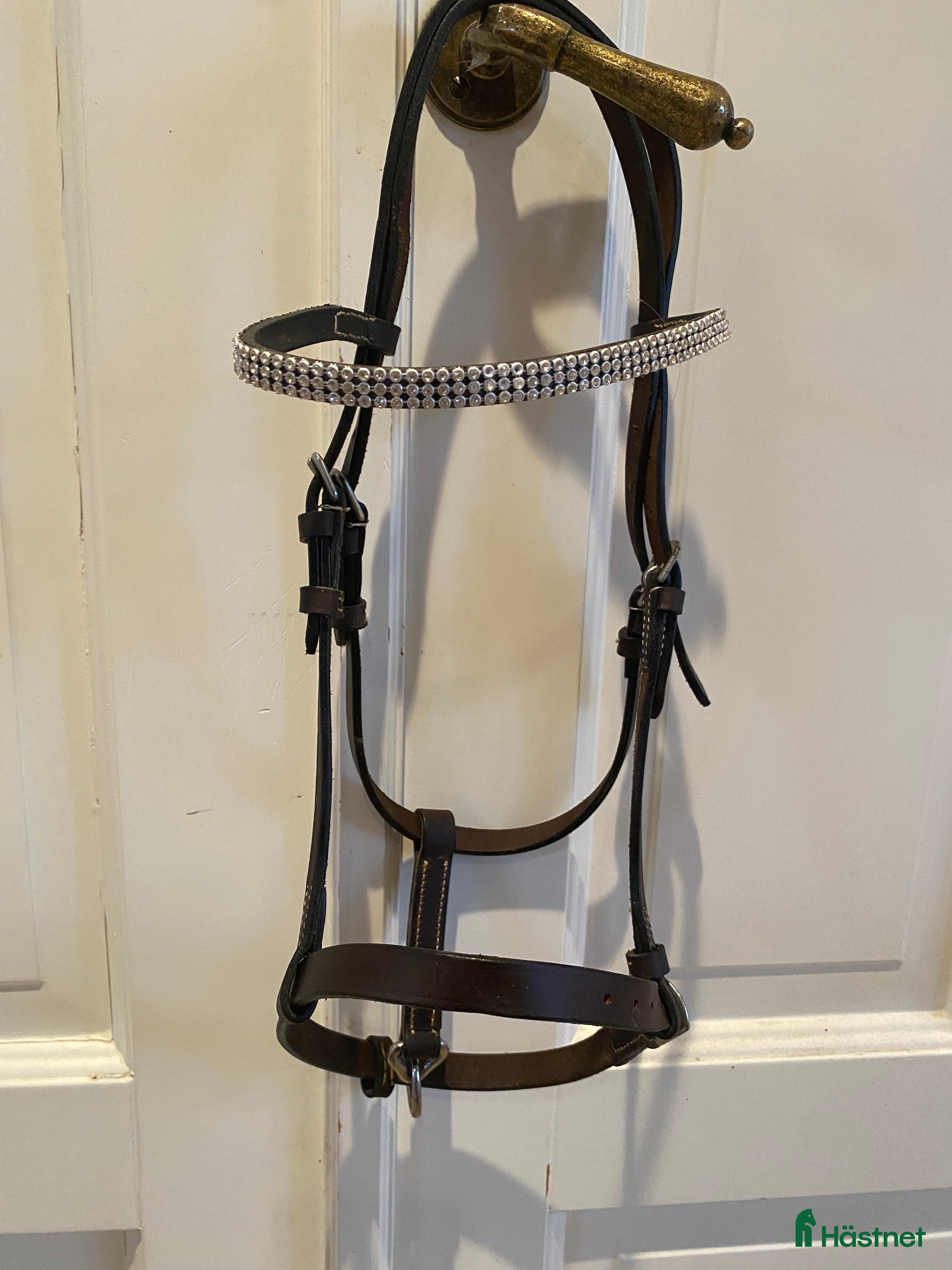 Träns hästutrustning till salu: Liten uppvisningsgrimma / liten fölgrimma  i Gärsnäs - Annons 1