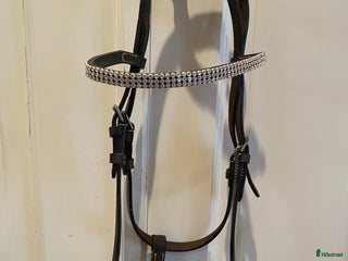 Träns hästutrustning till salu: Liten uppvisningsgrimma / liten fölgrimma i Gärsnäs - Annons 4