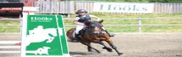 Hoppning hästar till salu: Super ponny - Annons 5