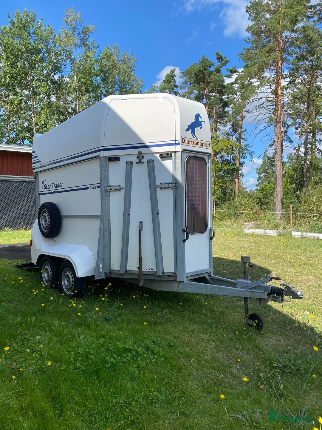 Hästtransporter  fordon & transport till salu: Star Trailer Safir med fronturlastning  - Annons 2