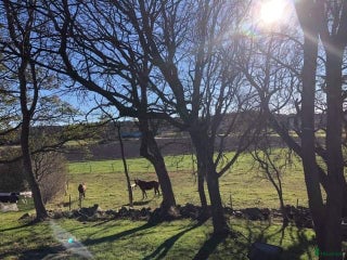 stallplats Lösdrift nära Kungälv i härlig, lantlig miljö - Annons 1