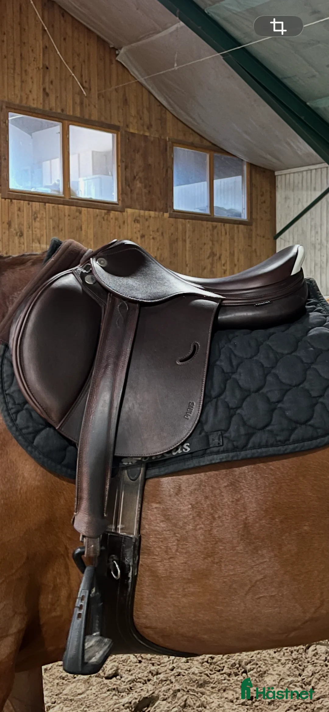 Sadlar hästutrustning till salu: Helt ny Prestige Paris - Annons 1