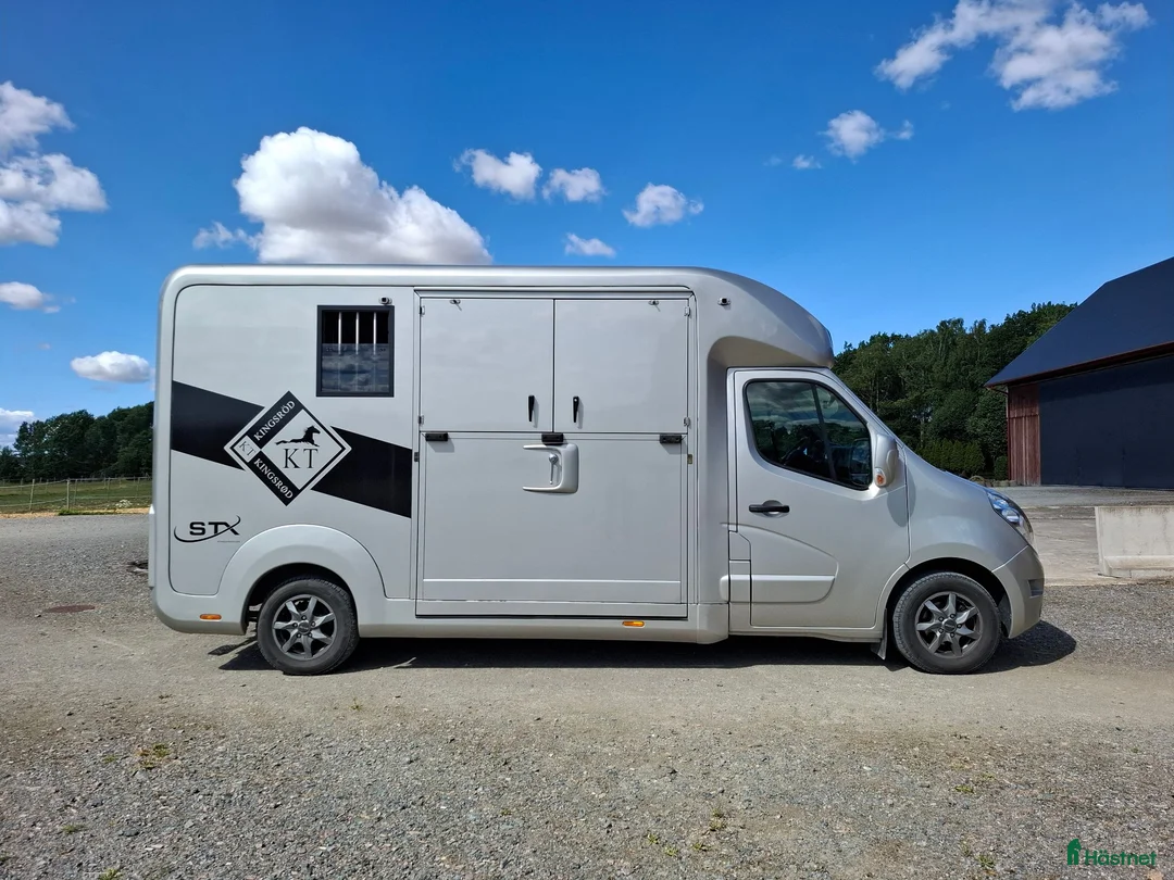 Hästlastbilar  fordon & transport till salu: STX Stuteriinredning 2019 - Annons 2