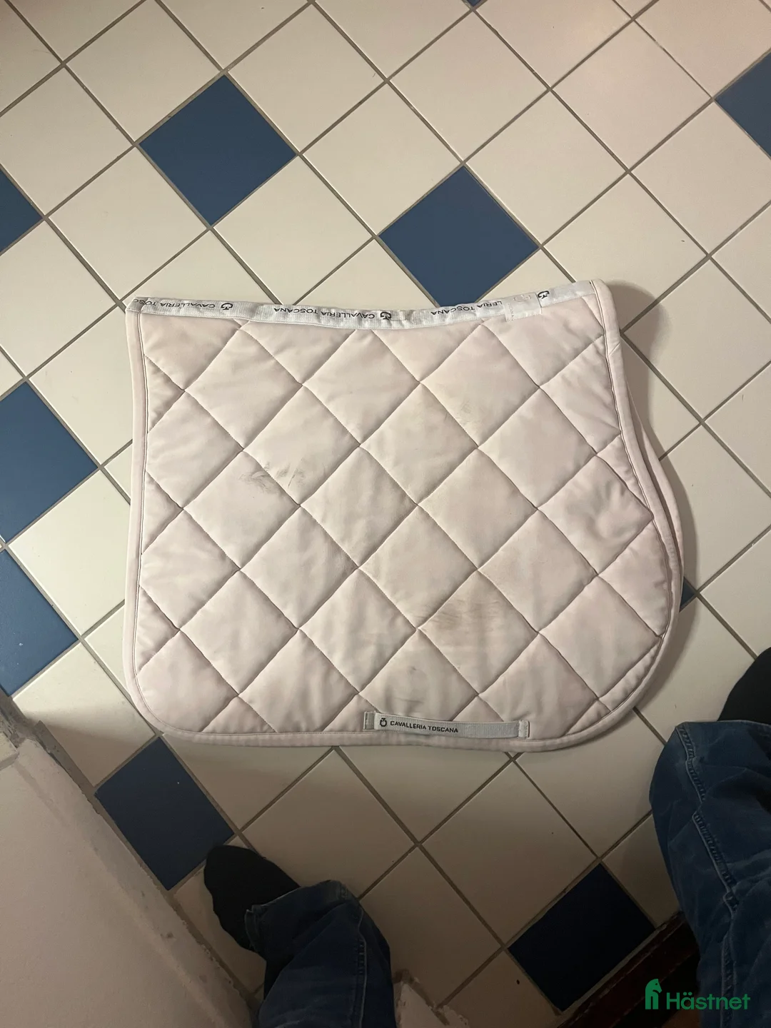 Schabrak & Vojlockar hästutrustning till salu: Cavalleria Toscana schabrak  - Annons 3