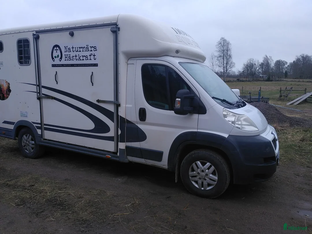 Hästlastbilar  fordon & transport till salu: Hästlastbil C1 - Annons 1