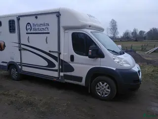 Hästlastbilar fordon & transport till salu: Hästlastbil C1 - Annons 6