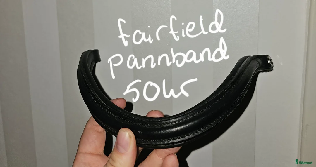 Träns hästutrustning till salu: Tränsdelar i Arvika - Annons 6