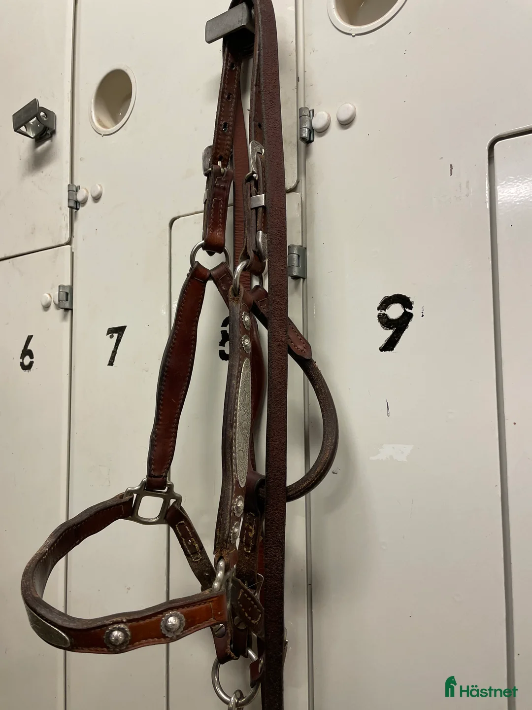 Övrig Hästutrustning hästutrustning till salu: Haltergrimma Showgrimma i Karlstad - Annons 2