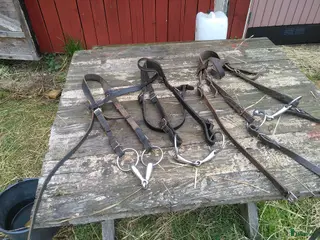 Körselar körning till salu: Arbetssele - Annons 3