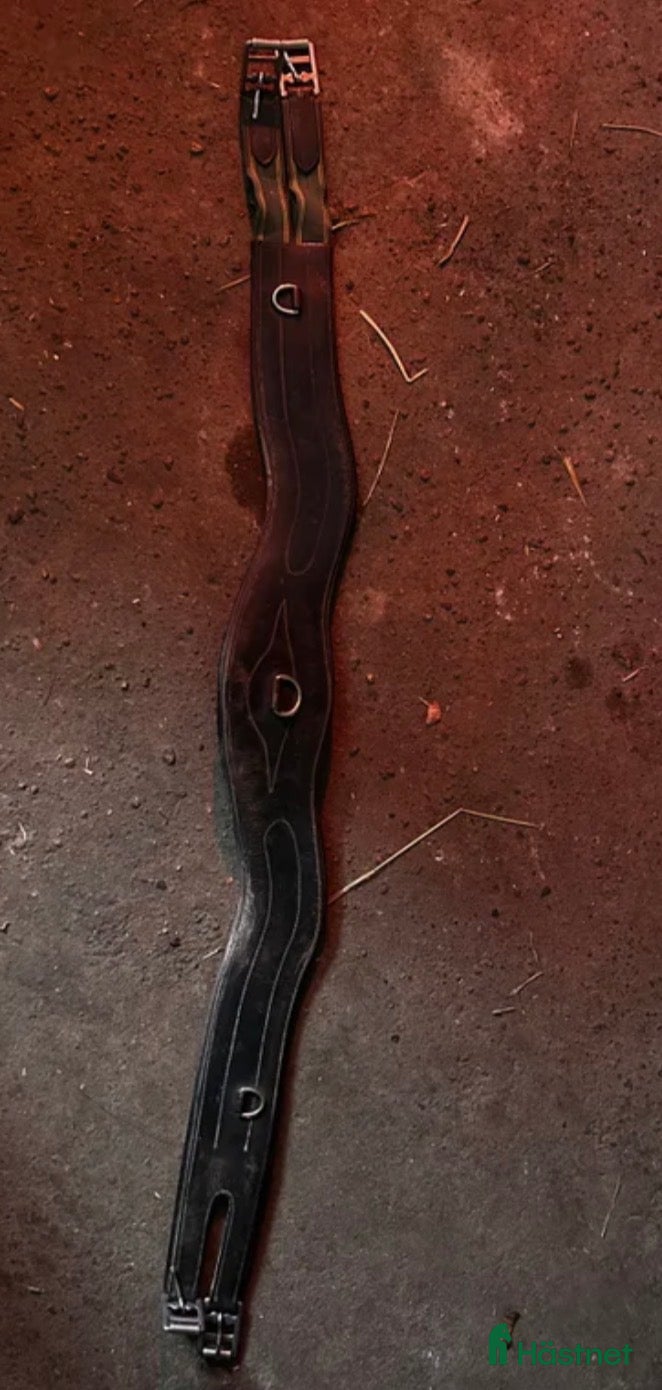 Sadeltillbehör hästutrustning Lädergjord i Hörby - Annons 23