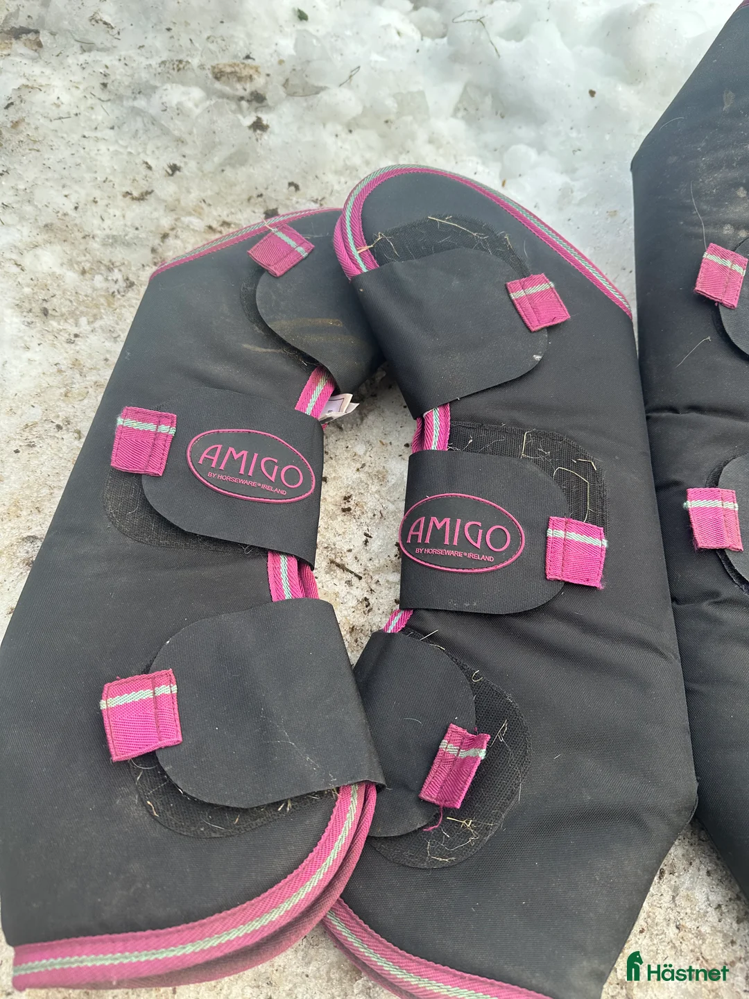 Övrig Hästutrustning hästutrustning till salu: Amigo Transportskydd  - Annons 1