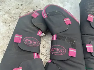 Övrig Hästutrustning hästutrustning Amigo Transportskydd - Annons 2