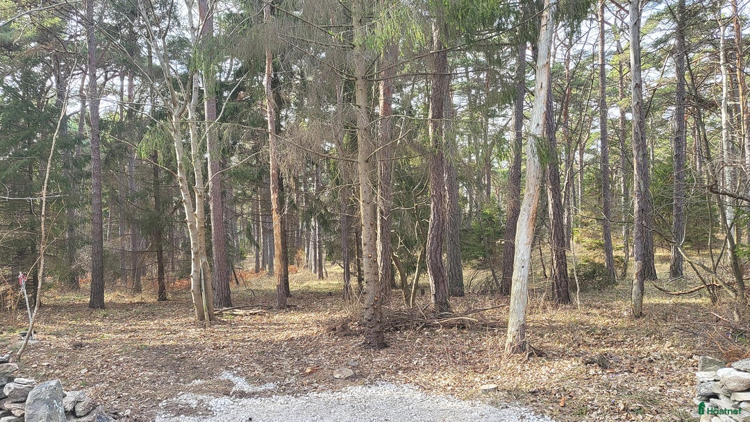  mark till salu: Tomt på sydspetsen av Gotland i Burgsvik - Annons 3