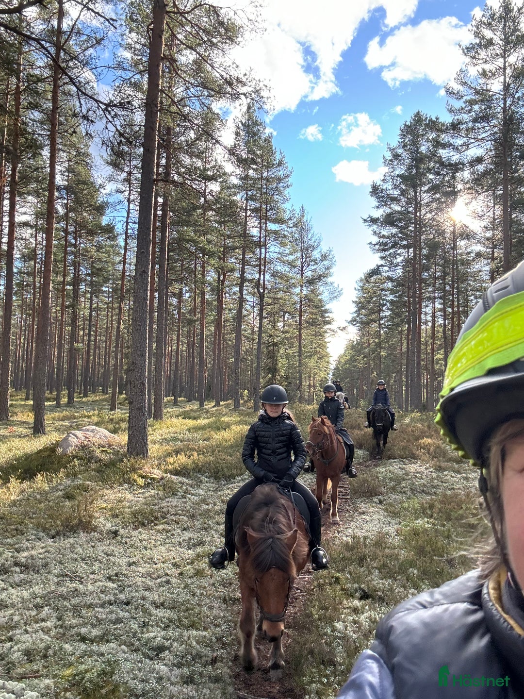 hästservice finnes: Höstlovsridläger i Bergslagen i Riddarhyttan - Annons 11