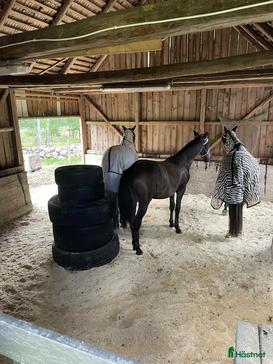  stallplats finnes: Bete - lösdriftsplats i Bjärnum - Annons 3