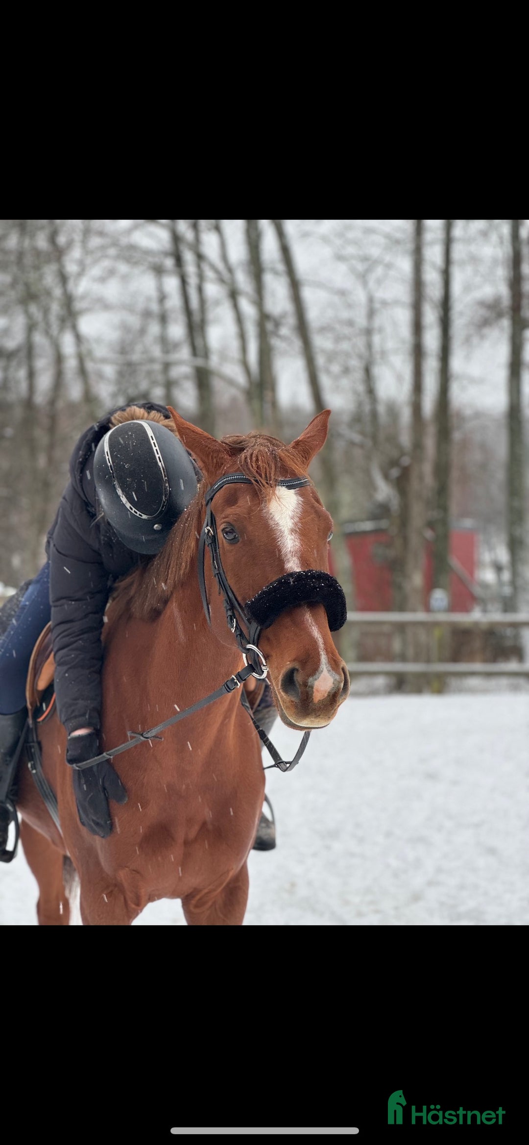 Galleribild {{count}}