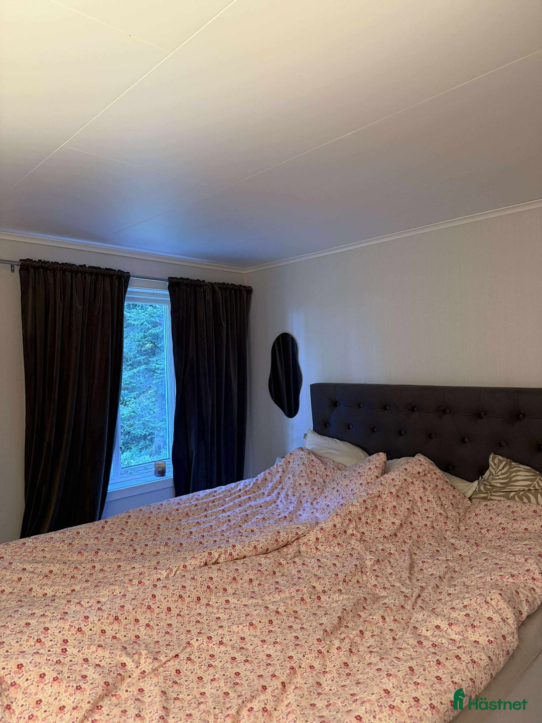  stallplats finnes: Hus på hästgård och stallplatser.  i Ljung - Annons 17