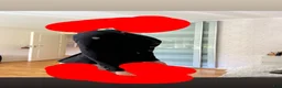 Jackor & Kavajer ryttarutrustning till salu: Samshield kavaj - Annons 5