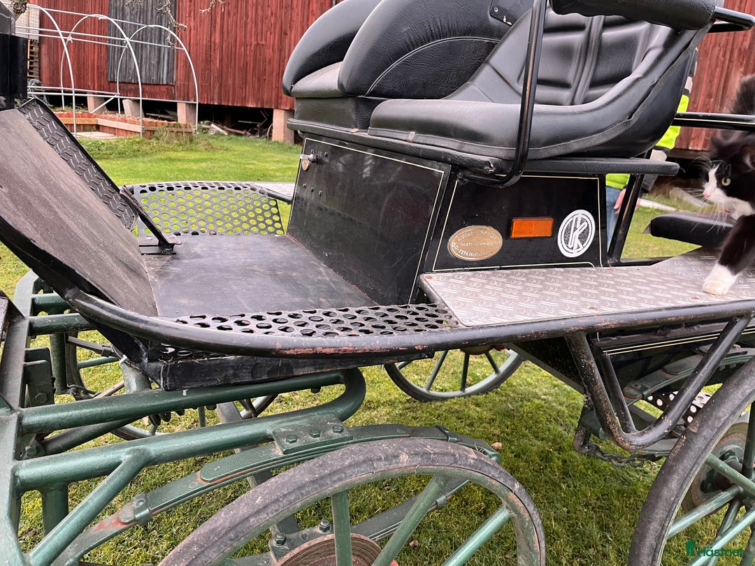 Körvagnar körning till salu: Maratonvagn storhäst i Västra Ämtervik - Annons 13