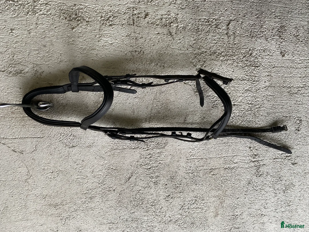 Träns hästutrustning till salu: Träns och kandar - Annons 5