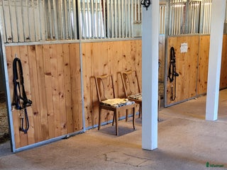 stallplats finnes i Tranås - Annons 1