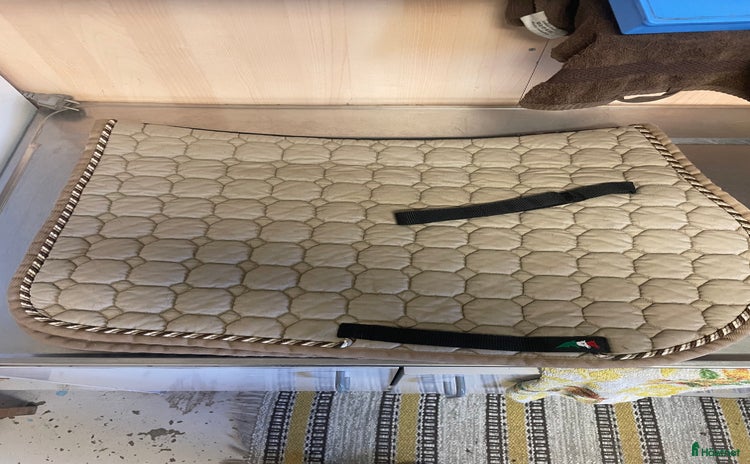 Schabrak & Vojlockar hästutrustning till salu i Tandsbyn - Annons 2