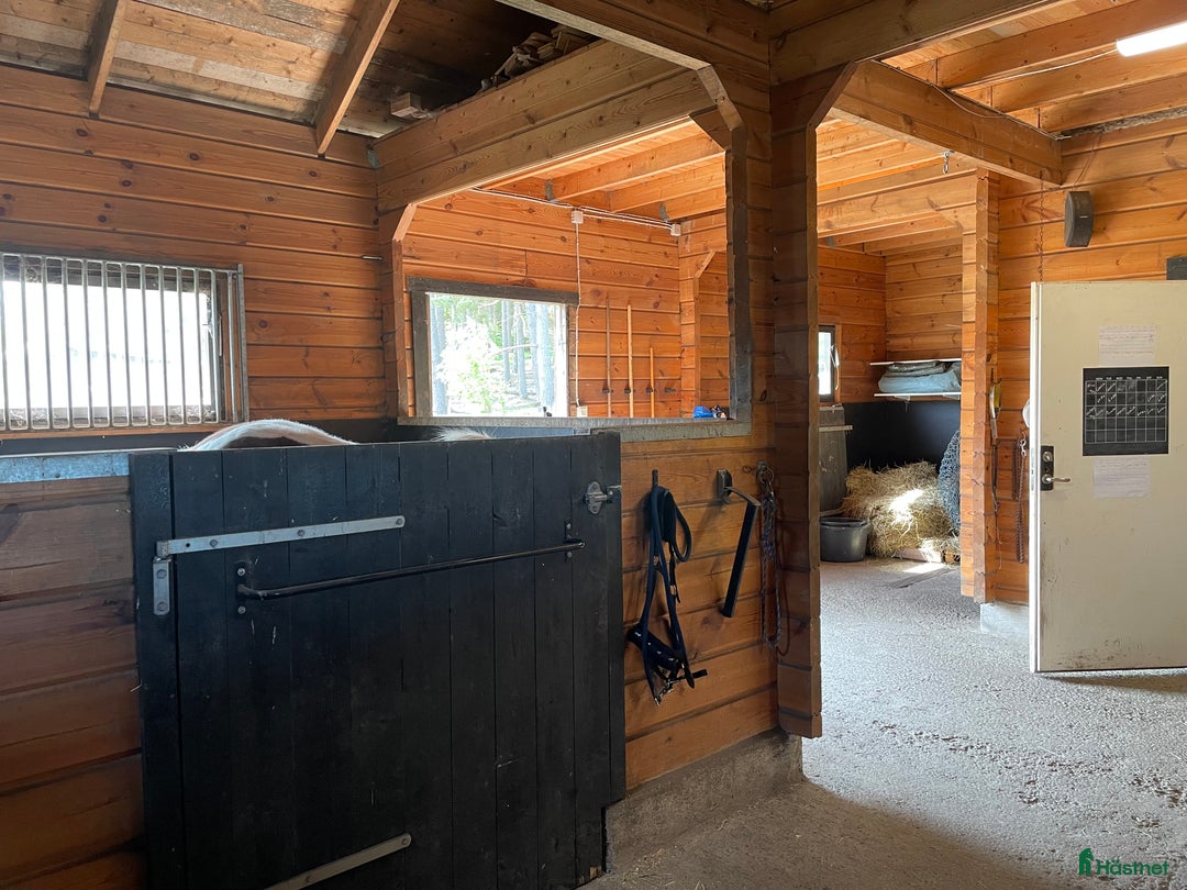  stallplats finnes: Lösdrift  i Sorunda - Bild 5