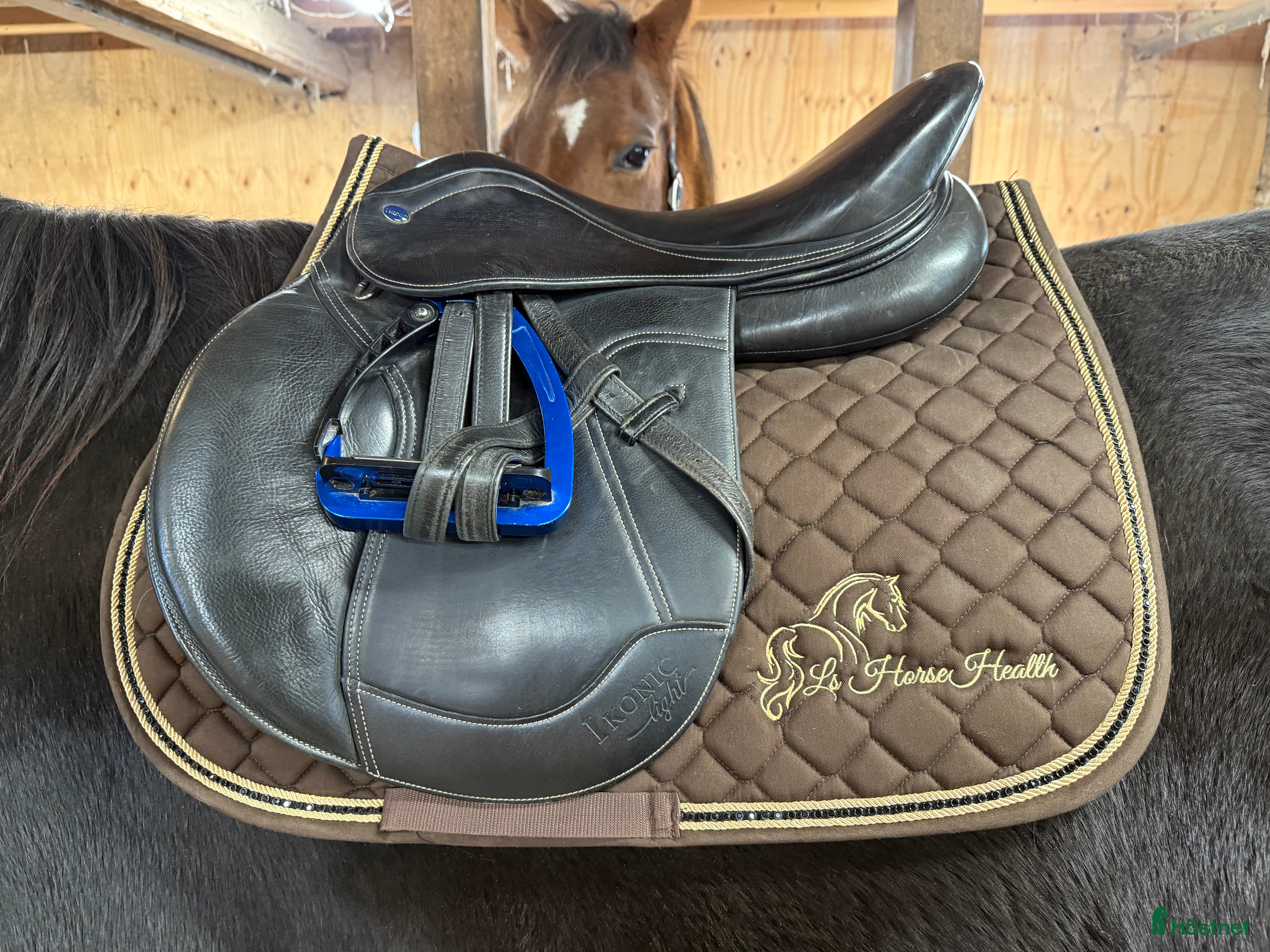 Sadlar hästutrustning till salu: IKONIC LIGHT | SNABB AFFÄR ÄR PRIO  i Skillingaryd - Annons 12