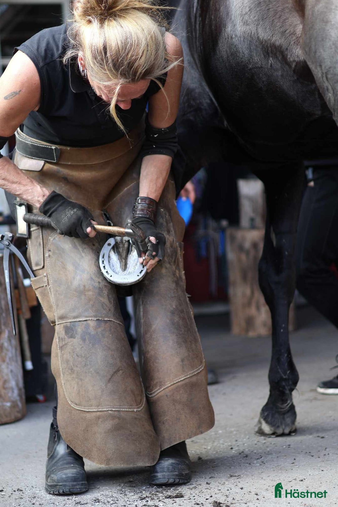  hästservice finnes: Tappskokurs / Hovvårdskurs i Färentuna - Annons 5