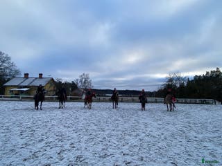 medryttarhäst finnes: 🐴 Lediga platser på Karlshems gård Ponnyklubb! 🐴 - Annons 11