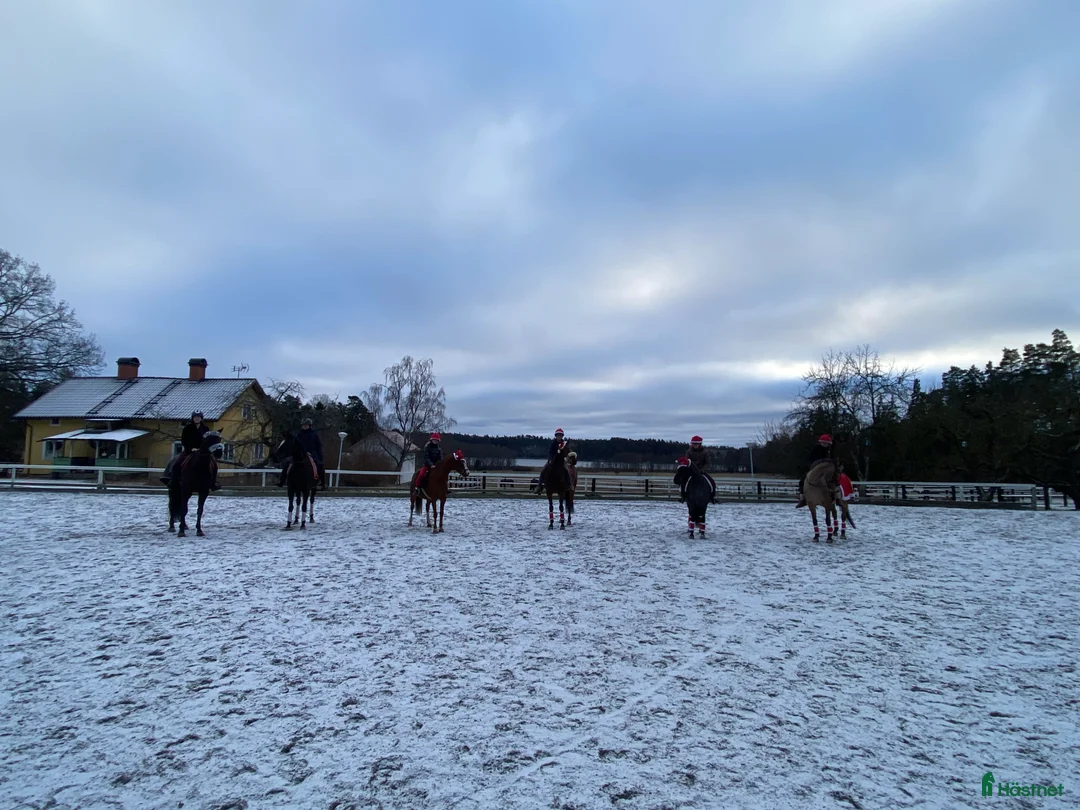  medryttarhäst finnes: 🐴 Lediga platser på Karlshems gård Ponnyklubb! 🐴 - Annons 1