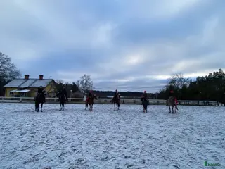 medryttarhäst finnes: 🐴 Lediga platser på Karlshems gård Ponnyklubb! 🐴 - Annons 16