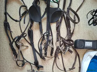 Övrig Hästutrustning hästutrustning Sele, sadel, träns och mer i Göteborg - Annons 14