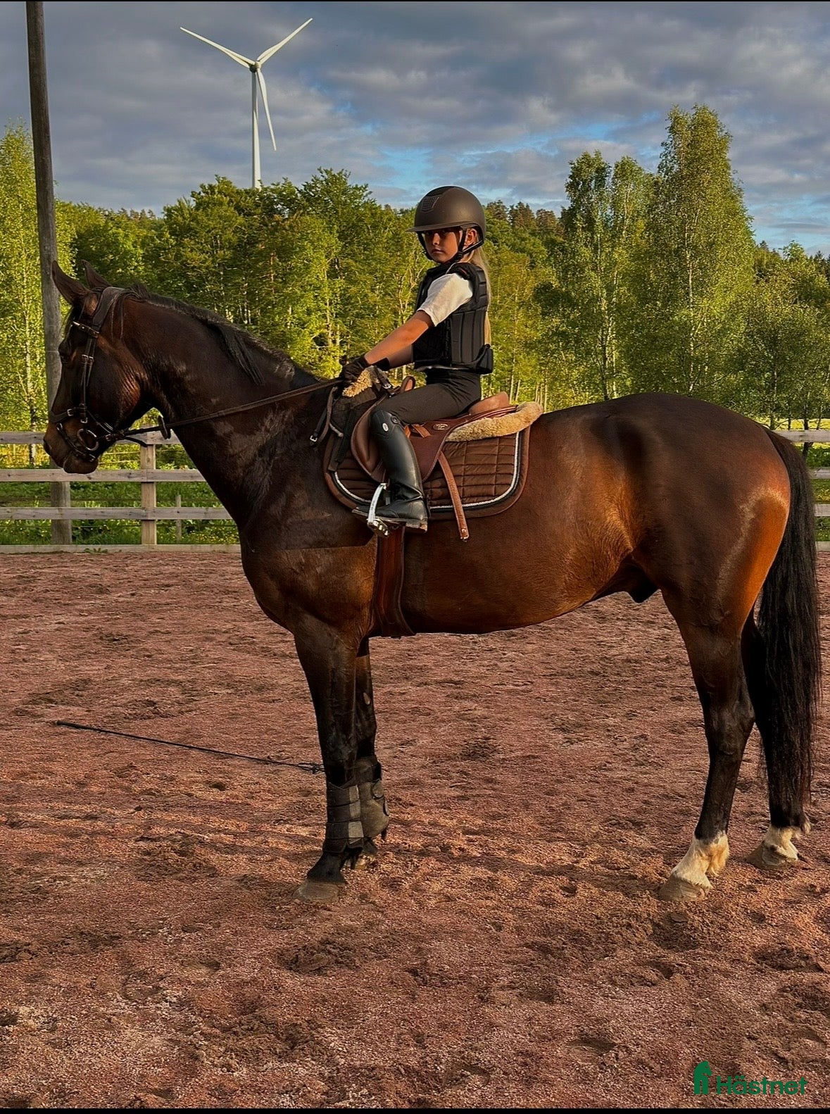  medryttarhäst sökes: Hopphästar söker medr (även ponny) i Arkelstorp - Annons 1